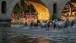 Sommieres, Gard, Occitanie, France Stock Footage