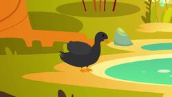 I WONDER - Are There Physical Examples Of Animal Adaptation? Me Pregunto - Hay Ejemplos Físicos De Adaptación Animal? Instructional Video