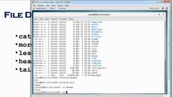 Complete Linux Training Course to Get Your Dream IT Job - File Display Commands (cat, less, more, head, tail) Instructional Video
