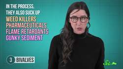 7 Organisms That Can Clean Toxic Waste Instructional Video