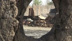 CLEAN : Food and water becoming scare in South Sud News Clip