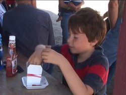 Exploring the Digestive and Excretory Systems: the Role of Digestion Instructional Video