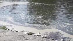 Environmental pollution. Stock Footage