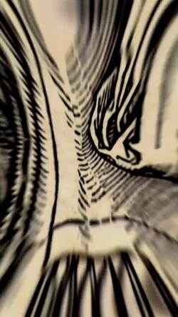 The Ensisheim Meteor VERTICAL - One Minute History Instructional Video