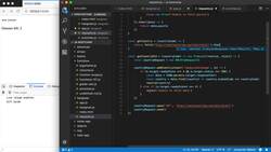 The Modern JavaScript Bootcamp (2019) - A Fetch Challenge Instructional Video