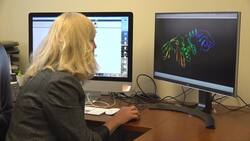 Stopping deadly virus is Illinois scientist's goal Instructional Video