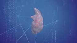 How scientists have transplanted a lab-grown lung into a pig Instructional Video