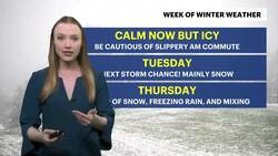 STORM WATCH: More snow and wintry weather expected this week in The Bronx News Clip