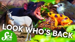 Where Scientists Keep the World's Most Endangered Animals Instructional Video