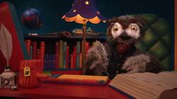 Owl's Fascinating Facts: Lungfish Aestivation Instructional Video