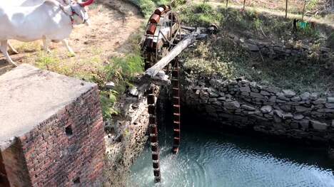 The Persian Wheel: A Legacy of the Traditional Water Management in India (traditional bullock-driven)