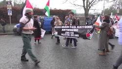 Pro-Palestinian demonstration takes place in Dublin News Clip