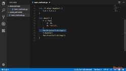 Learn Go in 3 Hours - Methods Instructional Video