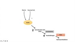 Acute Intermittent Porphyria (AIP) | In-depth Overview of Triggers, Symptoms, Diagnosis, Treatment Instructional Video