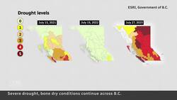 Significant drought conditions across much of B.C. News Clip