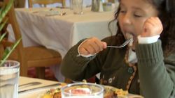 The Importance and Dangers of Phosphorus Instructional Video