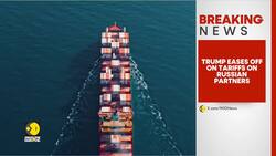 Trump: Tariffs on Russian Oil Buyers Not Needed for Now | WION BREAKING News Clip