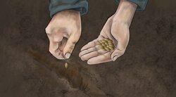 Settlements: By Choice and by Force Instructional Video