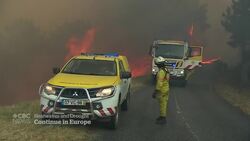 Water levels run low as Europe struggles with one of worst droughts on record News Clip