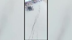 CLEAN : Wide cracks appear in ground near DR Congo volcano News Clip