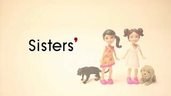 Mastering Apostrophes: Understanding Possession and Plural Possession Instructional Video