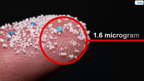 The Scary Truth About Plastic in Our Bloodstream