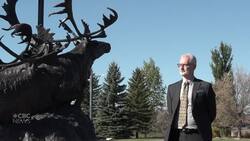 Brandon’s new sculpture garden blends nature and art News Clip