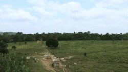 CLEAN : Voices from the Amazon: the cattle rancher News Clip