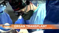 Man in the US receives a genetically-modified pig heart in the world's first transplant of its kind News Clip