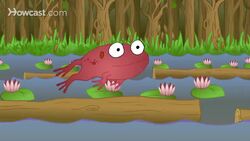 Songs for Kids: The Color Song Instructional Video