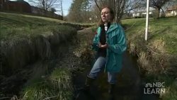 Baltimore's Urban Streams Instructional Video