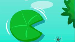 I WONDER - Can Spiders Live In Water? Instructional Video