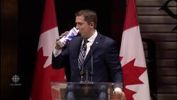 Maxime Bernier pulls controversial book to keep Conservative Party happy News Clip