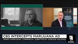 Acreage CEO Doesn't 'Begrudge' CBS for Killing His Cannabis Commercial News Clip