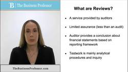 Auditing - What are Reviews Instructional Video