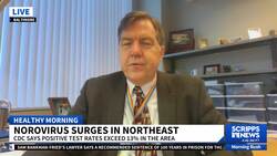 Norovirus surge in US causes over 1,000 students to miss school News Clip