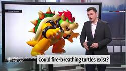 Meet 5 turtles similar to Super Mario's Bowser News Clip