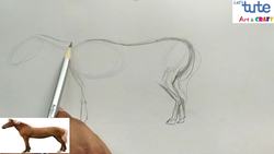 Drawing a Horse Instructional Video