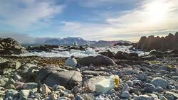 Plastic pollution on Arctic coast. Stock Footage