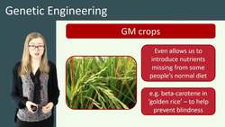 The Advantages and Concerns of Genetic Engineering in Agriculture and Medicine Instructional Video