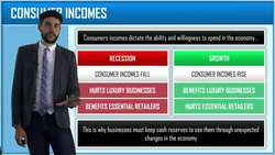 The Economy and Business Instructional Video