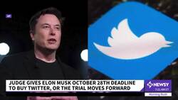 Judge Delays Twitter Trial, Giving Musk Time To Seal $44B Buyout News Clip