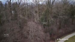 New Canadian rules could help drones deliver life-saving medical supplies News Clip