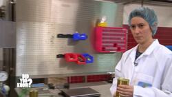 Mastering Food Preservation: Canning and Freezing at Home Instructional Video