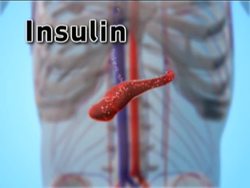 Healthy Nervous and Endocrine Systems: Problems of the Endocrine System Instructional Video