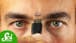 How Much Information Can A Human Head Hold? Instructional Video