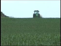 Understanding Biodiversity and Ecosystems Instructional Video