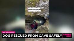 One Good Thing: Dog Rescued From Cave News Clip