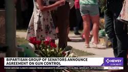 Senate Bargainers Announce Outline Of Gun Violence Agreement News Clip
