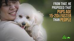 The Truth About Dog Years (Your Pupper Is Older Than You Think!) Instructional Video